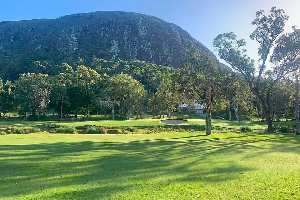 Mount Coolum Golf Club Tree Approval Turns On Wildlife Checks Before Work Starts