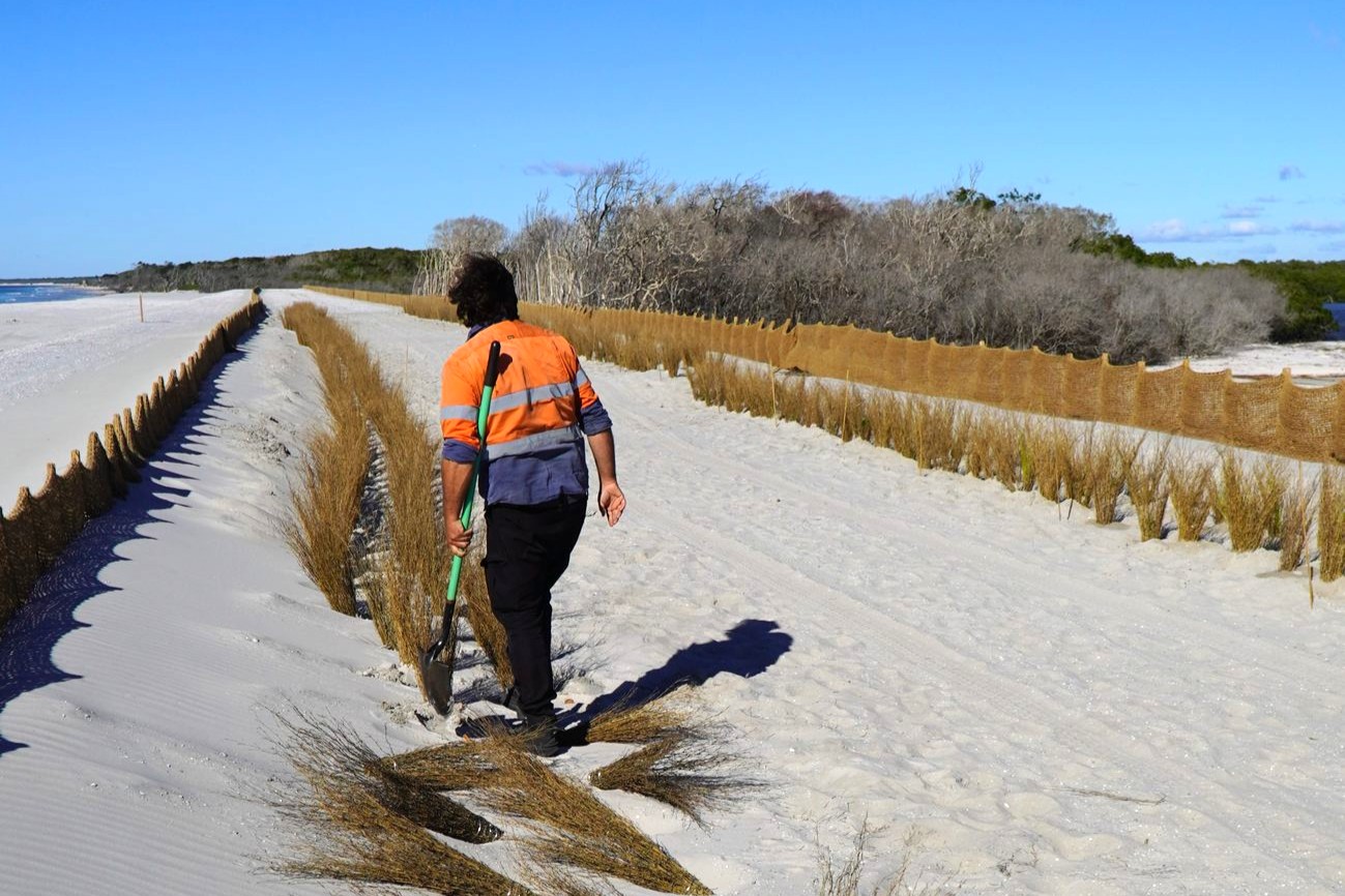 Bribie Island Rebuild Adds 6500 Native Plants To Protect Pumicestone Passage Coastline
